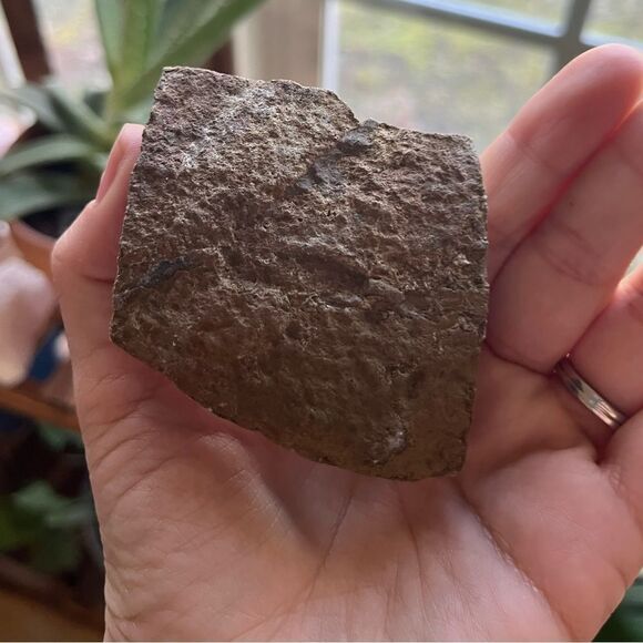 All natural, beautiful, amethyst, crystal cluster. 148 g 3.75 x 3” 740 CTW. - Picture 8 of 10